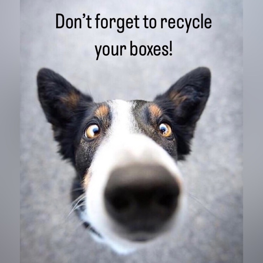Recycle ♻️